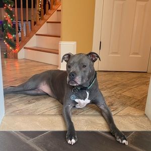 Meet your Posher, Alexa